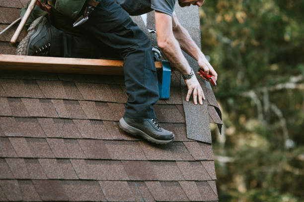 Best Roof Maintenance Services  in Dunbar, WV
